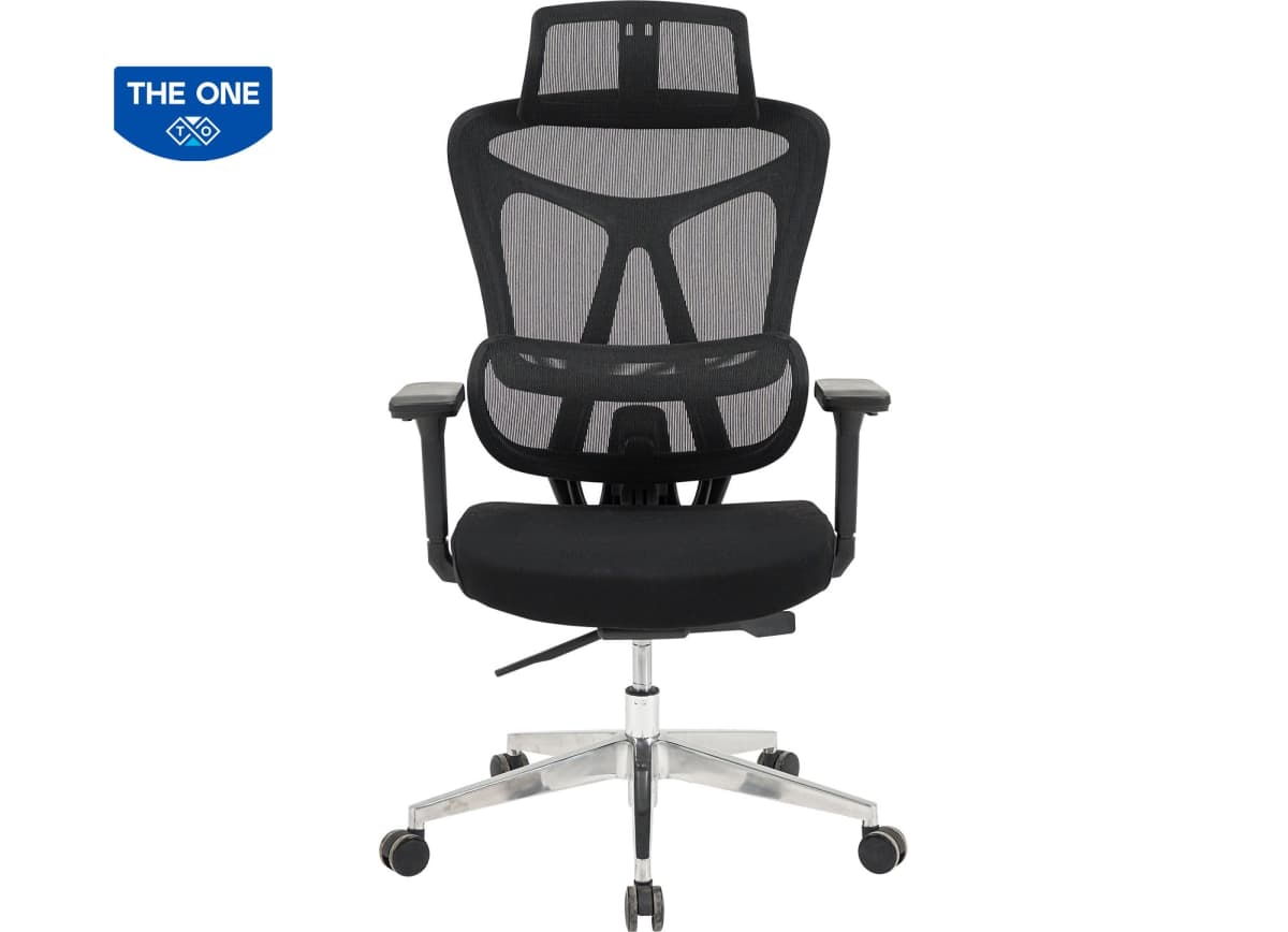 Ghế Công Thái Học The One GLE18