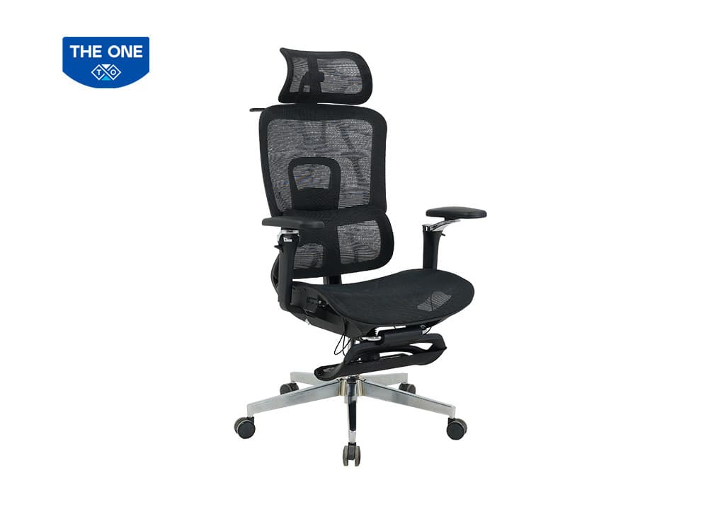Ghế Công Thái Học The One GLE25